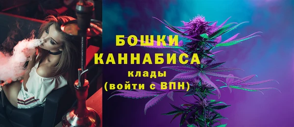 шишки Богданович